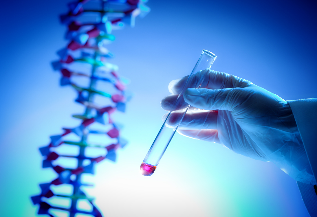 Movimento dos genes pode explicar como o genoma se organiza e regula