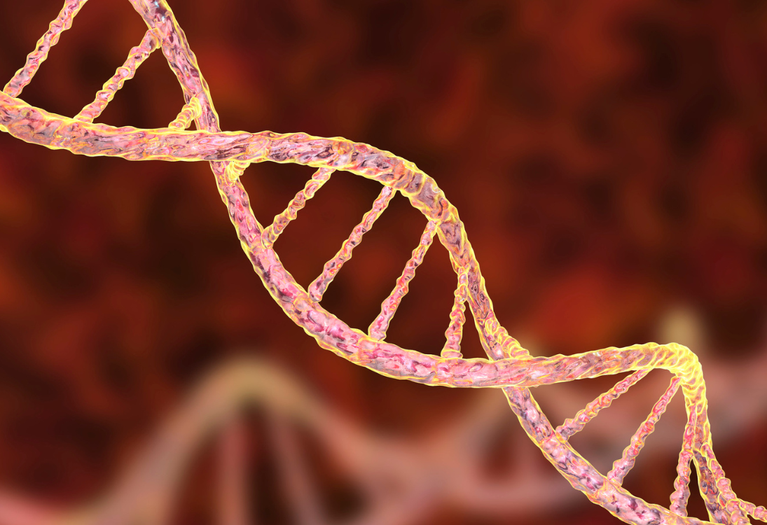Identificada assinatura genética da leucemia T-ALL de alto risco