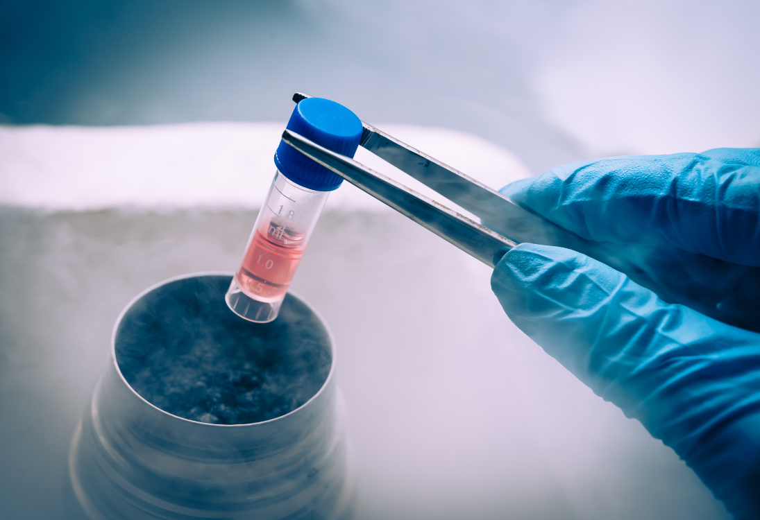 Coimbra começa a tratar doentes com terapia CAR-T