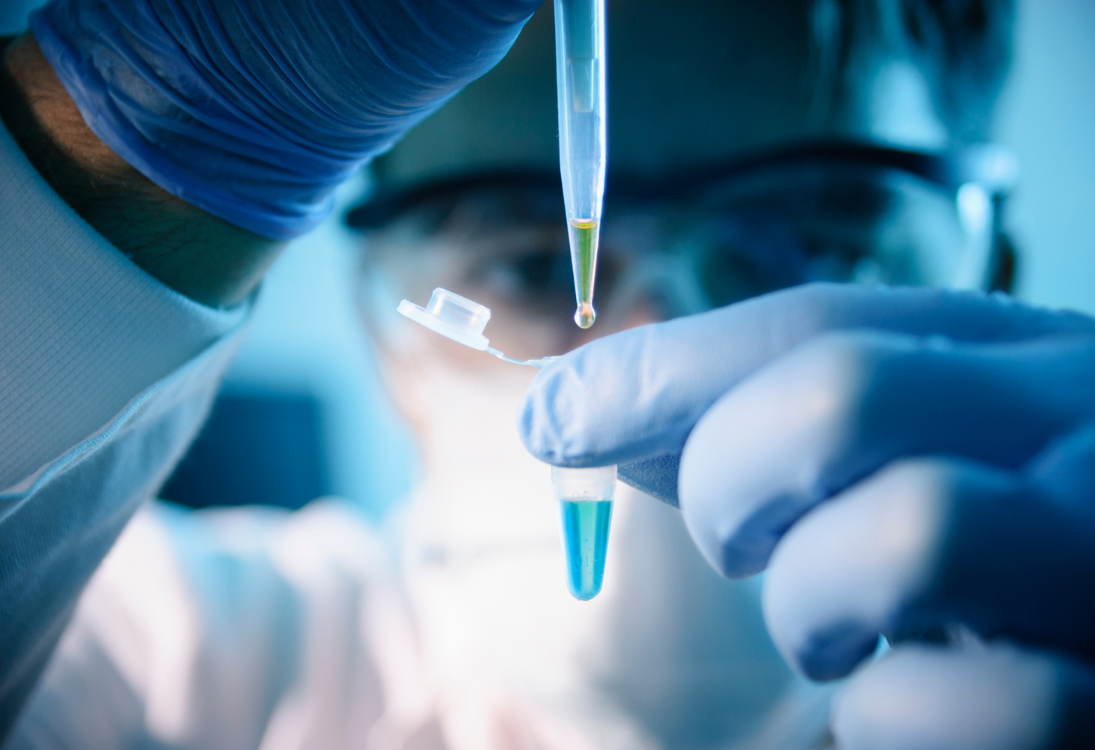 Ovos de galinha e proteínas ajudam a encontrar tratamentos personalizados para o cancro pediátrico