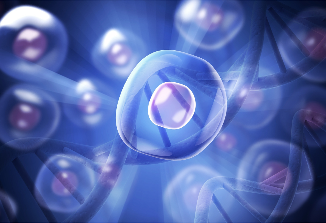 Terapia combinada: CAR-T mais perto de ser eficaz contra o neuroblastoma pediátrico