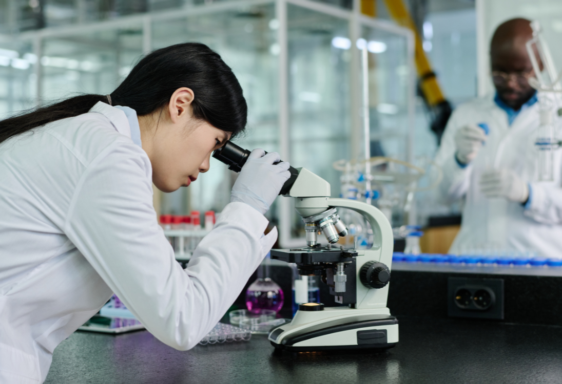 Mini-tumores cultivados em laboratório abrem caminho para terapias mais personalizadas em sarcomas pediátricos