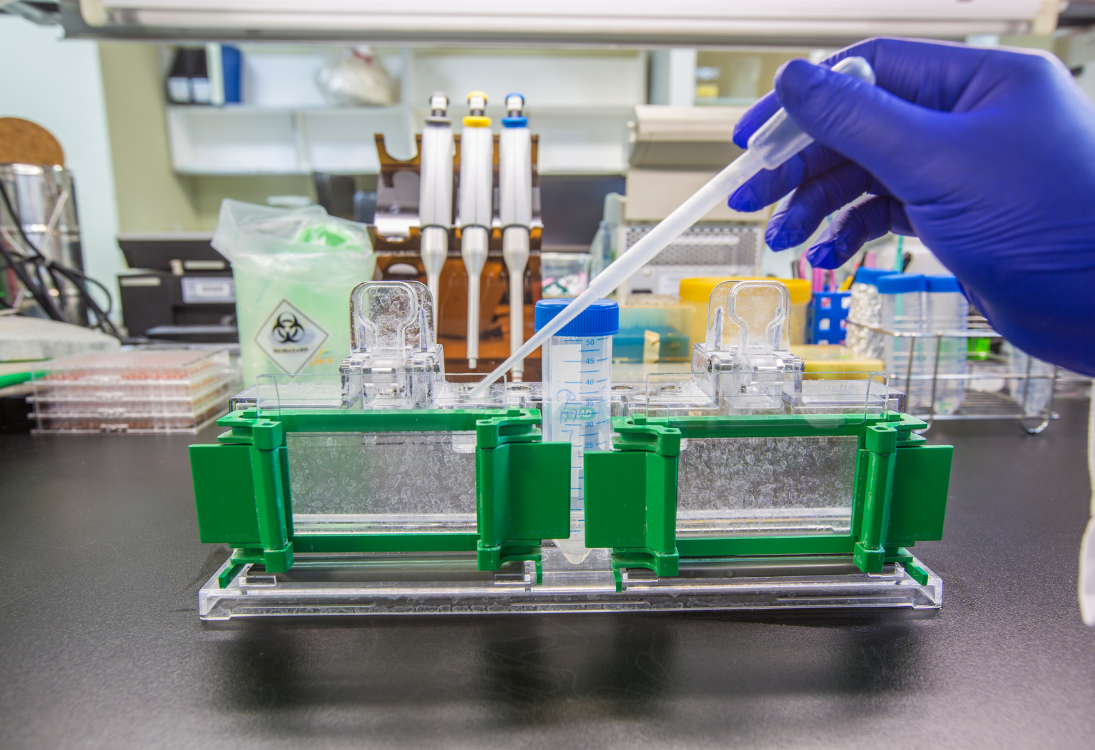 Novo programa europeu estuda proteínas ainda pouco conhecidas para procurar novos tratamentos